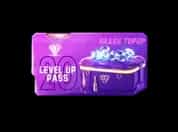 Level Up Pass Lvl 20 (ID)
