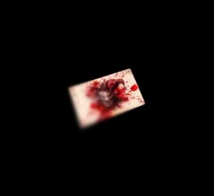 Free Fire Weekly Lite and Membership Card illustration
