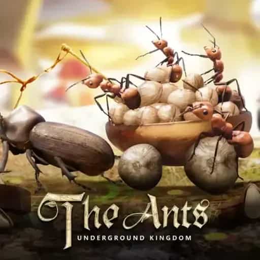 100 AntCoin