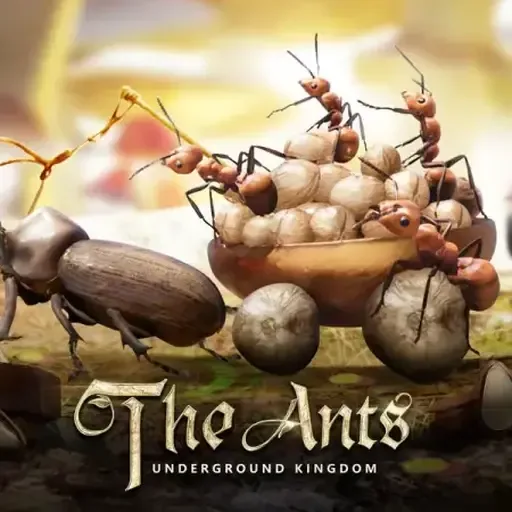 The Ants top up